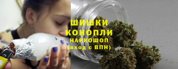 соль ск Вяземский