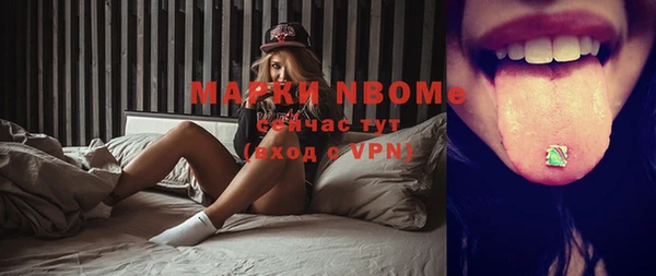 соль ск Вяземский