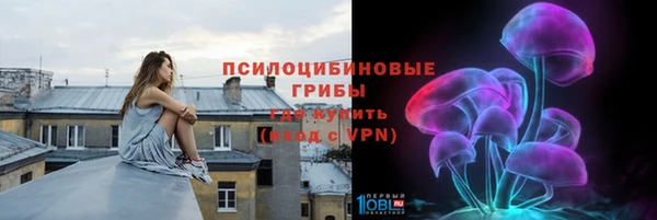 соль ск Вяземский