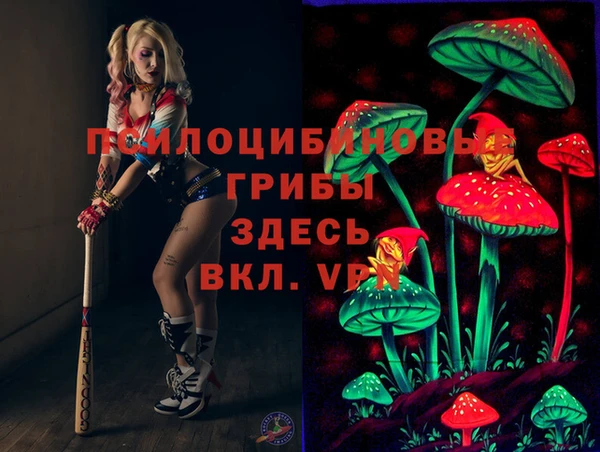 эйфоретик Вязьма