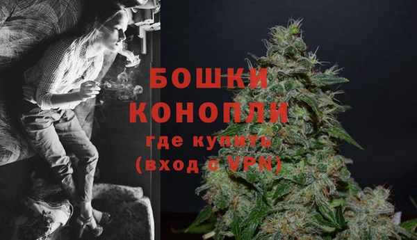 соль ск Вяземский