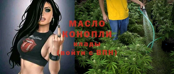 соль ск Вяземский