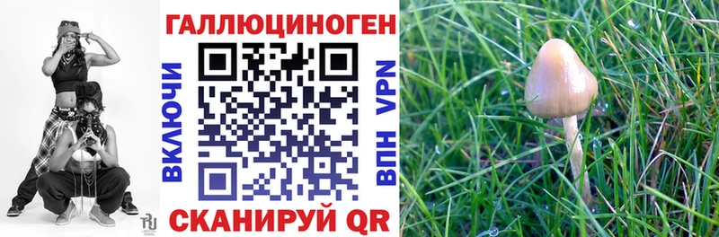 продажа наркотиков Орск Псилоцибиновые грибы GOLDEN TEACHER